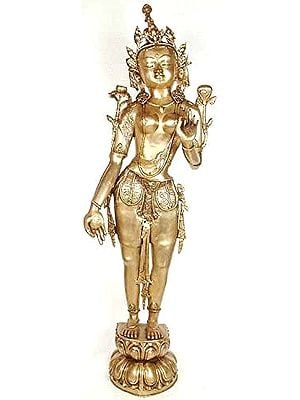 52" Large Size The Goddess Tara (Tibetan Buddhist Deity) In Brass | Handmade | Made In India