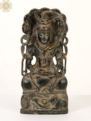Shiva Entwined in Serpents