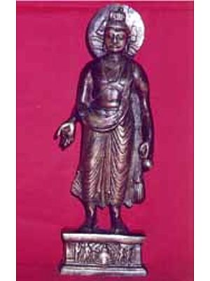 Gandhara Buddha