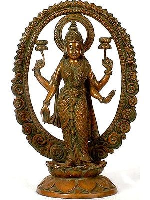 Goddess Lakshmi in Sari