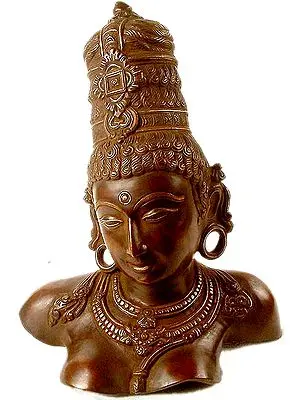 Goddess Parvati Bust