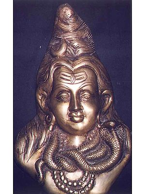 Jatadhari Shiva