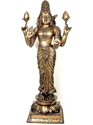 Lakshmi Bejeweled and Beautiful