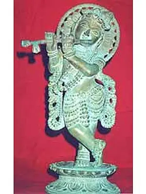 Murli Krishna