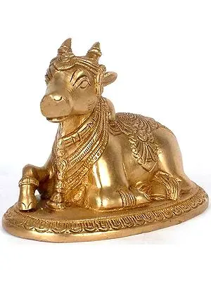Nandi