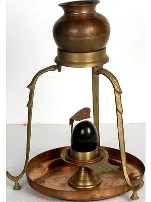 Assembly to Bathe Your Shiva Linga in Milk