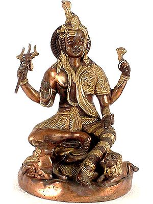 Shiva and Shakti Brass Statue