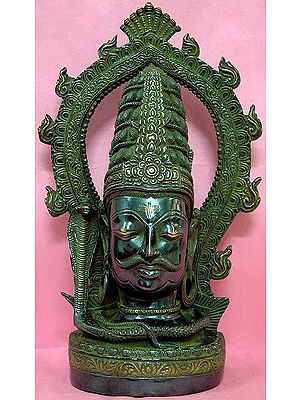 Shiva Manifested as Bhairava