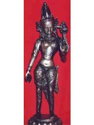 Tara