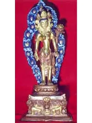 Tara
