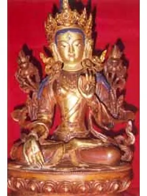 Tara