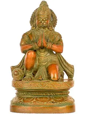 The Ideal Devotee