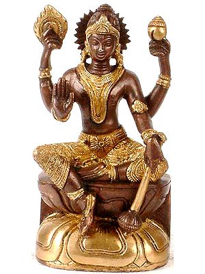 6" The Preserver Sculpture in Brass | Handmade Preserver Idol | Made in India