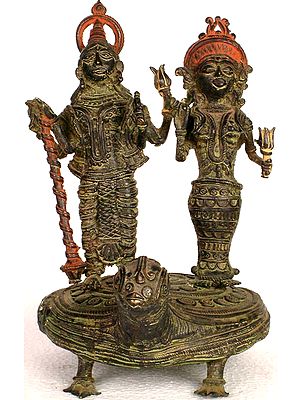 Vishnu Lakshimi on Kurma