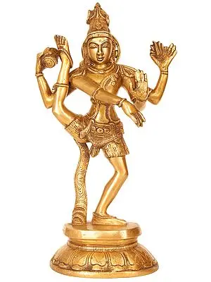 The Dance of Shiva
