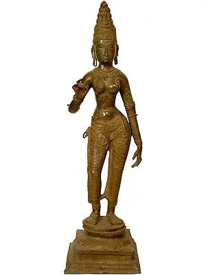43" (Large Size) Devi: The Manifestation of Primordial Female Energy In Brass | Handmade | Made In India