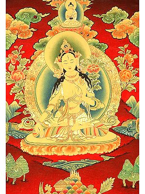 Goddess Who Bestows The Special Gift of Long Life on Her Devotees