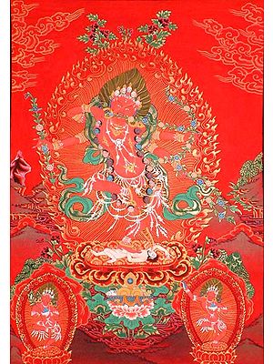 Red Tara (Kurukulla)