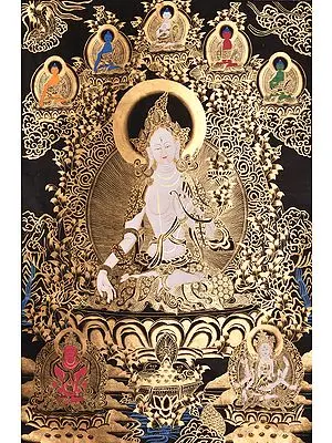 Tibetan Buddhist Goddess White Tara with Five Dhyani Buddhas (Large Size)