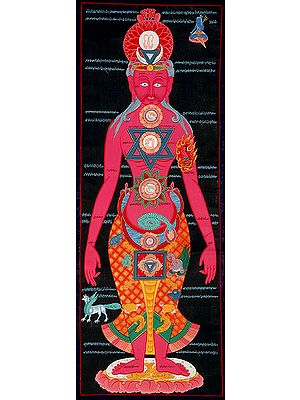 The Tantric System of Chakras