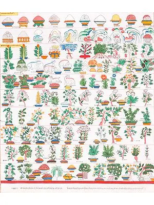 Thangka of Medicines and Herbs Inscribed in Tibetan