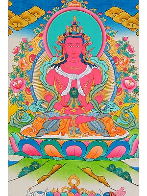 Tibetan Buddhist Deity Amitabha Buddha