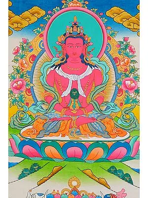 Tibetan Buddhist Deity Amitabha Buddha