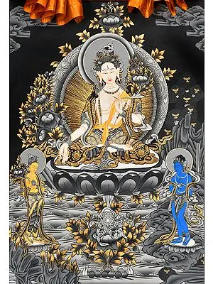 Graceful White Tara - Tibetan Buddhist Seven Eyed Goddess