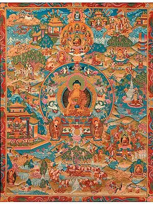 Fine Quality Life of Buddha ( Tibetan Buddhist)