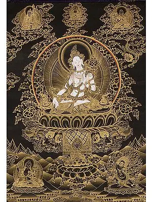 The Kinetic Power of Compassion