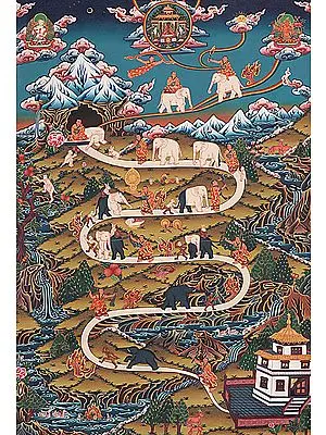 The Nine Progressive Stages of Mental Development (According to Shamatha Meditation Practice)