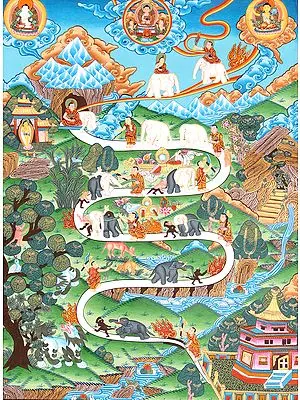 The Nine  Stages of Tranquility
