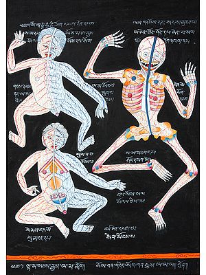 Chakras and Energy Channels in the Human Body