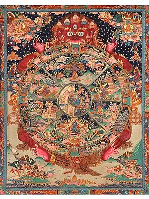 The Bhavachakra of Human Life