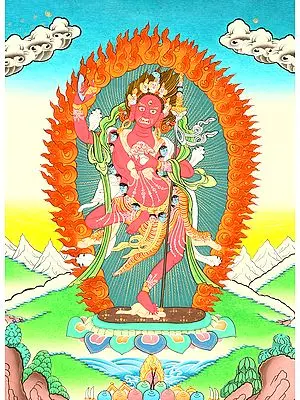 The Female Buddha Vajravarahi (Goddess Red Tara)