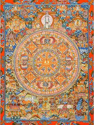 The Mandala of the Buddha