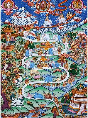 The Nine Progressive Stages of Mental Development (According to Shamatha Meditation Practice)