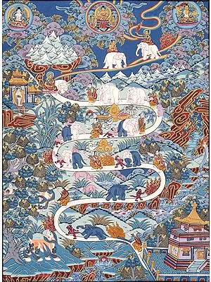 The Nine Progressive Stages of Mental Development (According to Shamatha Meditation Practice)