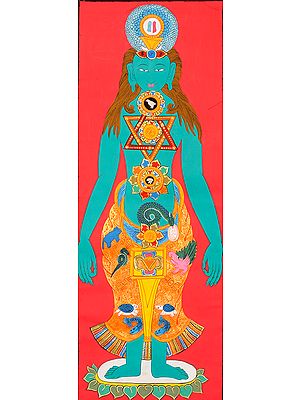 The Kundalini Chakras in Human Body