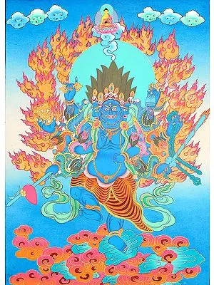 Tibetan Buddhist Vajrapani