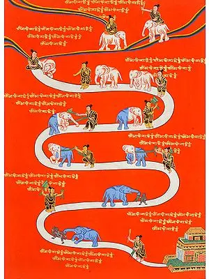 The Nine Progressive Stages of Mental Development (According to Shamatha Meditation Practice)