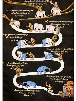 The Nine Progressive Stages of Mental Development (According to Shamatha Meditation Practice)