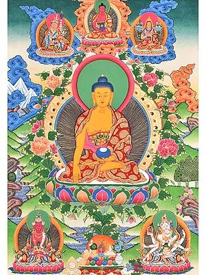 Large Size Buddha Shakyamuni (Tibetan Buddhist)