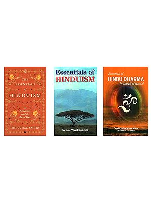 Essentials of Hinduism (Set of 3 Books)