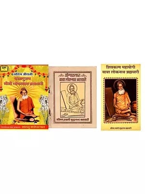 बाबा लोकनाथ (3 Books on Baba Lokenath in Hindi)