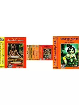 How Wise People Spend Their Time (Set of 10 Books in Hindi)