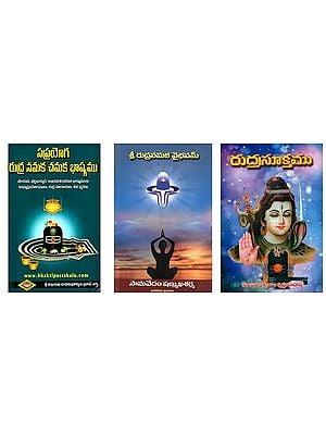 3 books on Rudram in Telugu