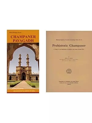 2 Books on Champaner