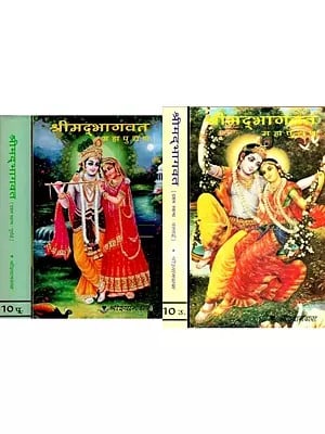 श्रीमद्भागवत महापुराण ( दशम स्कन्ध पूर्वार्द्ध और उत्तरार्द्ध एक साथ ) - Shrimad Bhagavata Purana (Complete Tenth Canto in 4 Volumes)