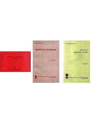 The Brokskat Language (Set of 3 Books)